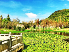 贵州花溪十里河滩湿地