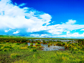 四川若尔盖湿地