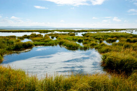 四川若尔盖湿地