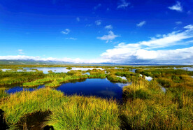 四川若尔盖湿地