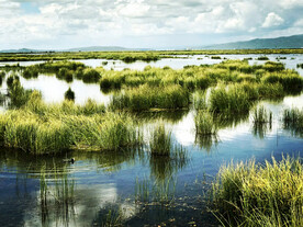 四川若尔盖湿地