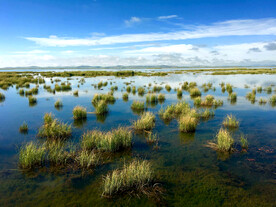 四川若尔盖湿地