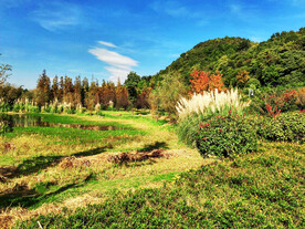 贵州花溪十里河滩湿地