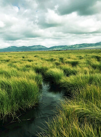 四川若尔盖湿地