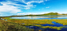 四川若尔盖湿地