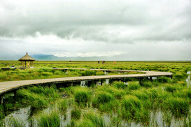 四川若尔盖湿地