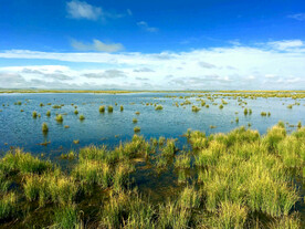 四川若尔盖湿地