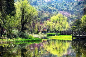 贵州花溪十里河滩湿地