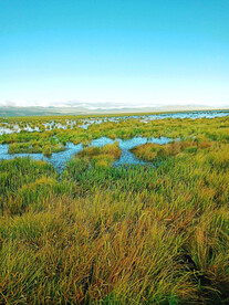 四川若尔盖湿地公园