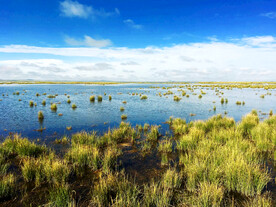 四川若尔盖湿地
