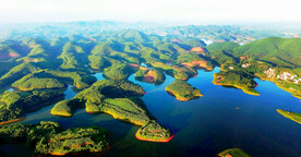 南宁大王滩国家湿地公园