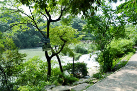 贵州花溪十里河滩湿地