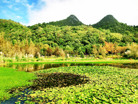 贵州花溪十里河滩湿地