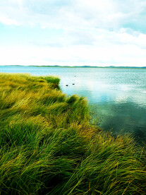 四川若尔盖湿地公园