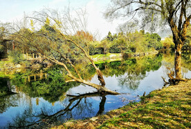 贵州花溪十里河滩湿地