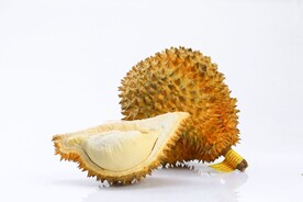 榴莲