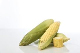 玉米