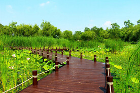 北京翠湖国家湿地公园