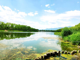 北京翠湖国家湿地公园