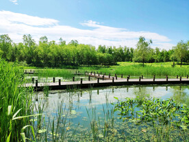 北京翠湖国家湿地公园
