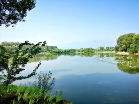 北京翠湖国家湿地公园