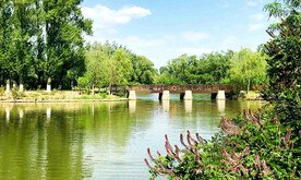 北京翠湖国家湿地公园