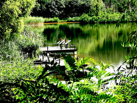 北京翠湖国家湿地公园