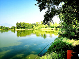 北京翠湖国家湿地公园