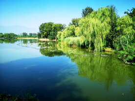 北京翠湖国家湿地公园