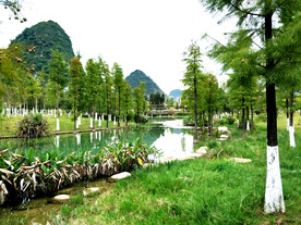 广西靖西湿地公园