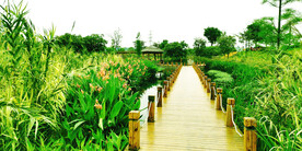 广西南宁那考河湿地公园