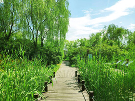 北京翠湖国家湿地公园