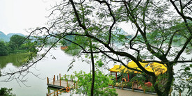 广东星湖湿地公园