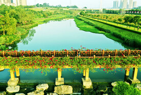 广西南宁那考河湿地公园