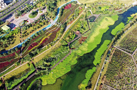 广西南宁那考河湿地公园