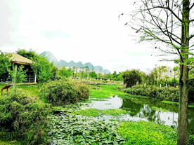 广西靖西湿地公园