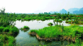 广西都安澄江湿地