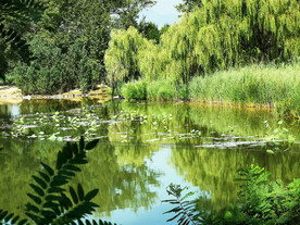 北京翠湖国家湿地公园