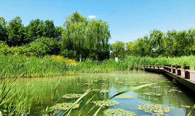 北京翠湖国家湿地公园