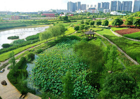 广西南宁那考河湿地公园