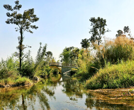 广西都安澄江湿地