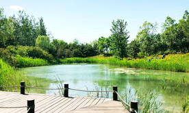 北京翠湖国家湿地公园