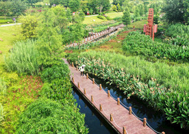 广西南宁那考河湿地公园