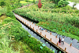 广西南宁那考河湿地公园