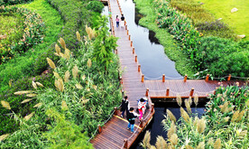 广西南宁那考河湿地公园