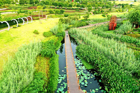 广西南宁那考河湿地公园