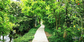 广东星湖湿地公园