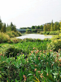 广州大观湿地公园