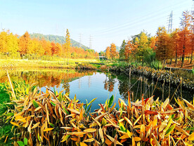 广州大观湿地公园