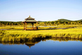 河北塞罕坝七星湖湿地